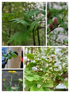 Про ПОГОДУ на Ямале