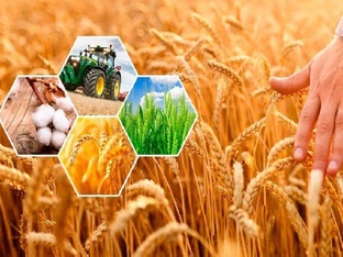 Новости аграрного сектора