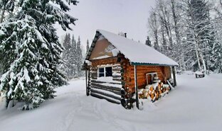 Изба в тайге.