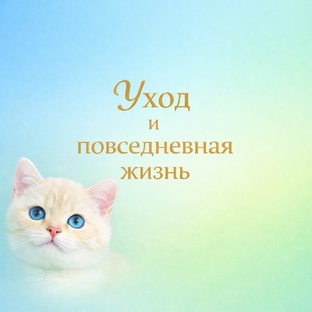 Уход и повседневная жизнь