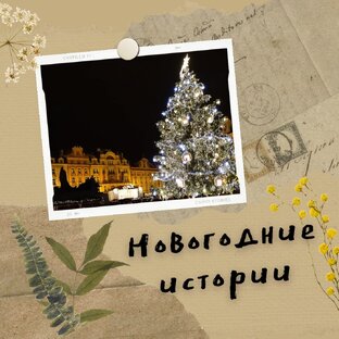 Новогодние истории