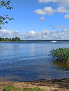 Мои прогулки