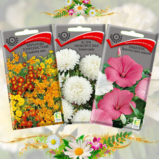 Магазин  на озоне ЛОБЕЛИЯ