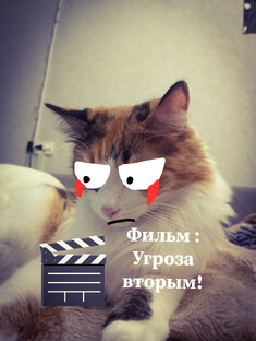Фильм : Угроза вторым!