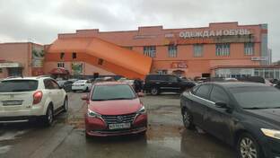 Ярмарки, выставки голубей.