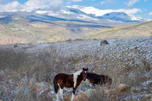 Музыкальный видеоряд для большого экрана 🎵 