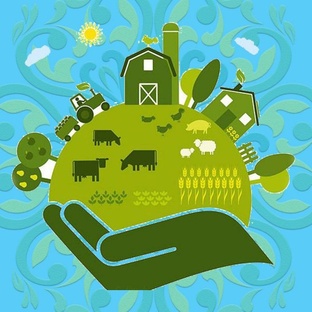 Сельская повседневность