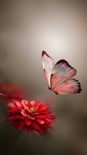 Мысли о всякой всячине