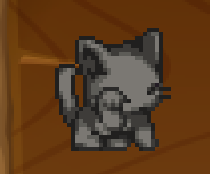 Котики путешественники 