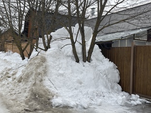 Истории из жизни 