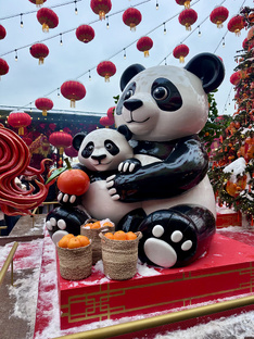 Китайский Новый год