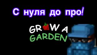 вырасти сад, с нуля до про.