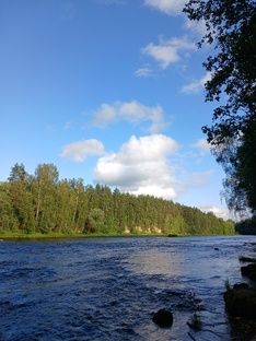 Новгородчина ❤️