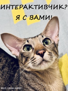 Интерактивчик