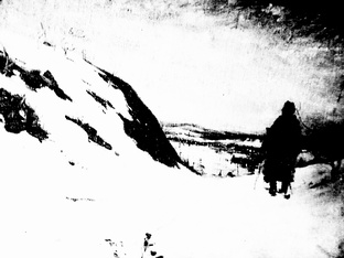 Где похоронен Моццарт