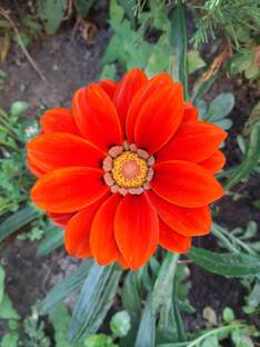 Мои измены: часть 3