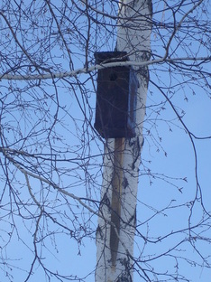 Домики для птиц