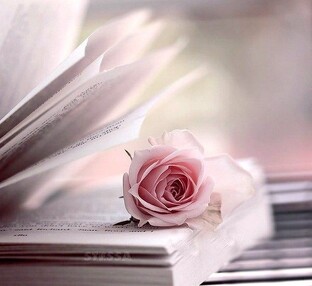 Книжкины дети