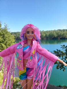 Путешествие Флай