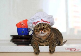 Видеорецепты