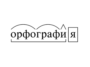Орфография