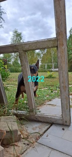2022зима