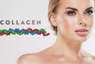 3. Коллаген: секреты молодости, красоты и здоровья — полный гид по выбору