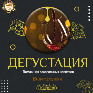 Дегустация домашних алкогольных напитков