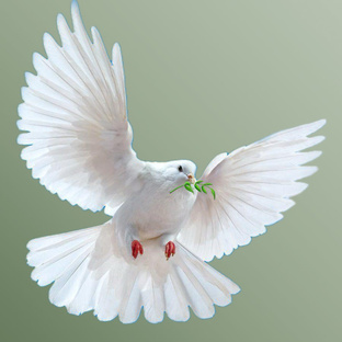 Великий Пост