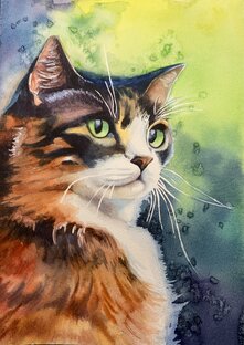 Милые котики 