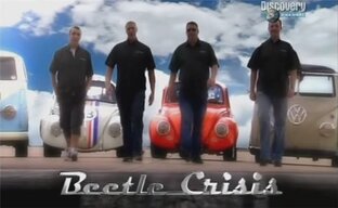 Суматоха с жуком 