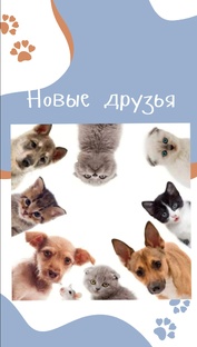 Новые друзья❤️