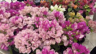 Полезные видео 