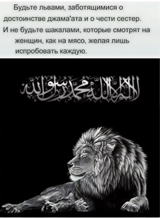 Львы воины ислама!