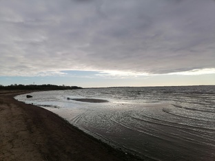 Биодинамика 