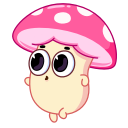 Грибное место