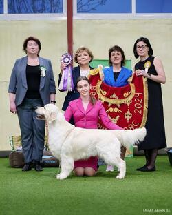 Помёт от 4.05.25