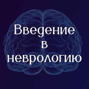 Неврология. Введение