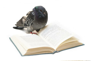 Моё никому не нужное мнение о книгах 