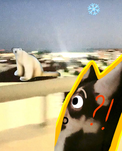 🌊ОДЫХ В ГОРОДЕ СОЧИ⛱️🏖️