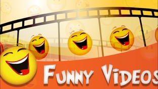 Смешные и прикольные видеоролики