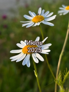 Июль 2025