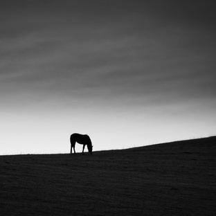 Черно-белая пейзажная фотография