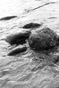 Тревожность 