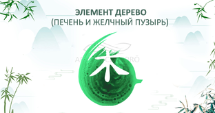 Анатомия тонкого тела