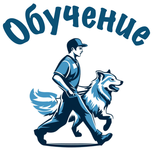 Воспитание и дрессура