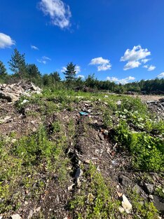 300 000 тысяч на помойку