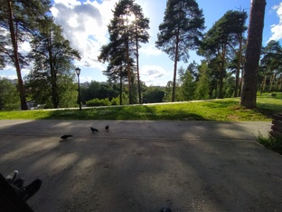 Улицы нашего города, Природа, цветы, магазины, прогулки, поездки. Наша любимица 