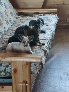 Домик престарелых