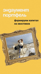 Эндаумент портфель 